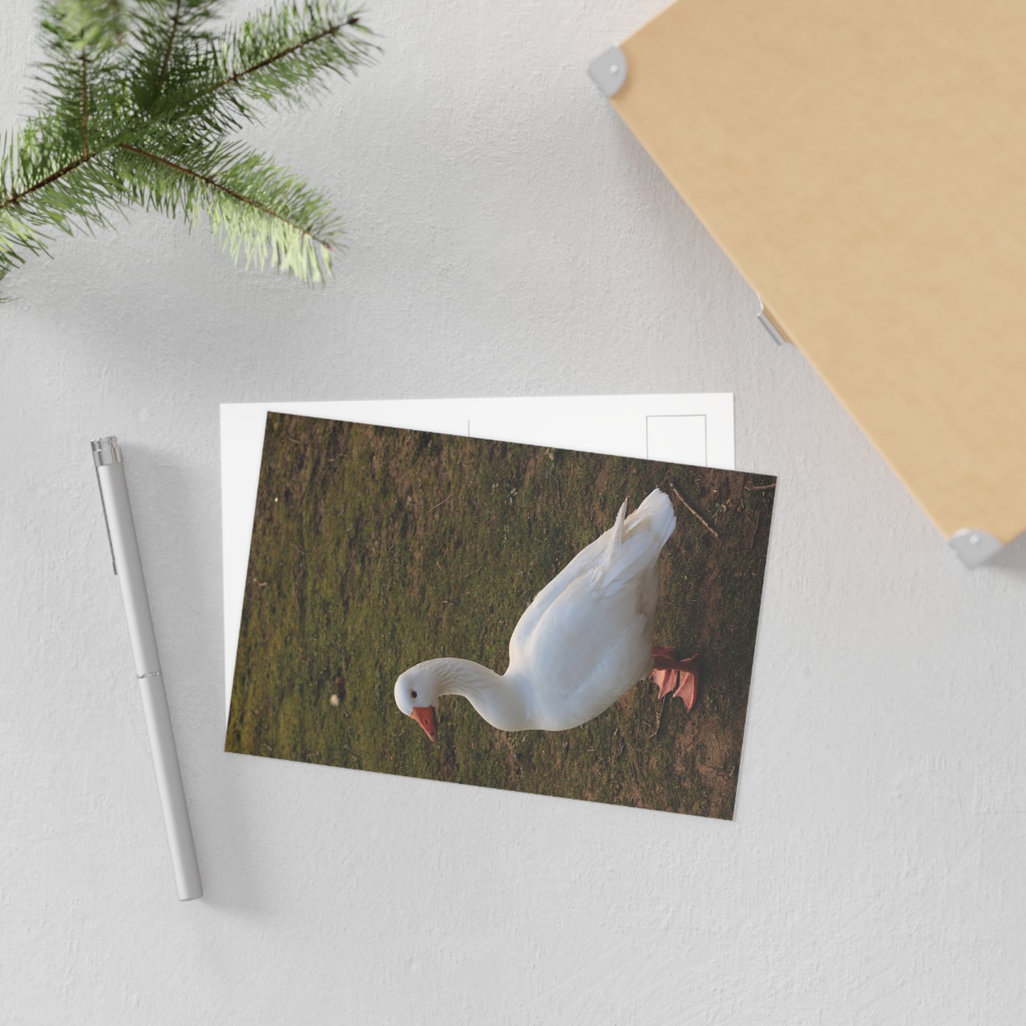 Goostav Fine Art Postcards