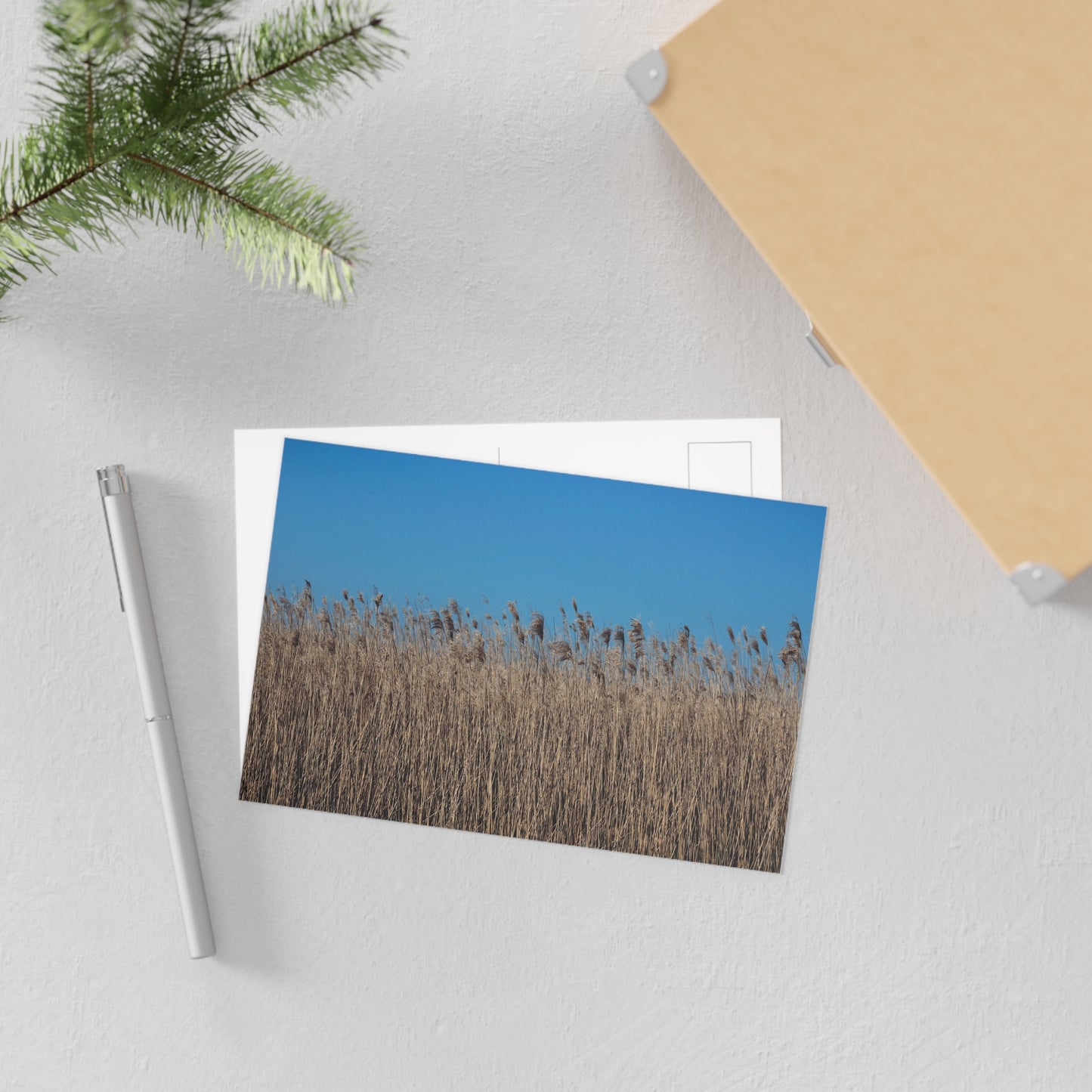 Breathe Fine Art Postcards