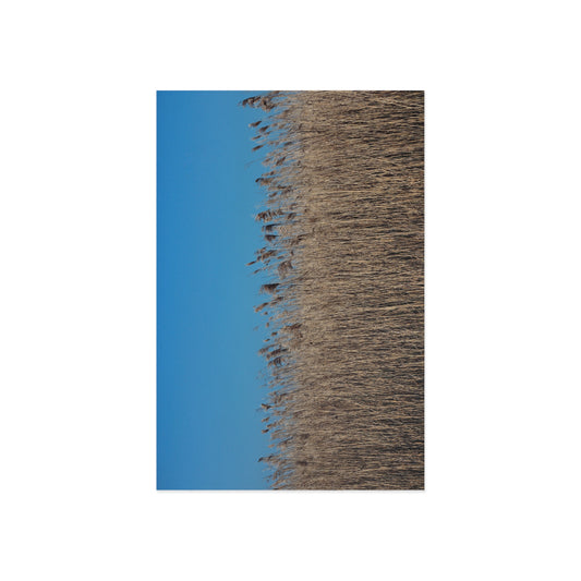 Breathe Fine Art Postcards