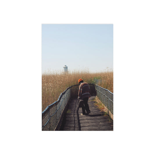 Light Home Fine Art Postcards