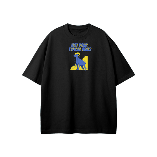Not Your Typical Aries Streetwear Heavyweight Loose Fit T-Shirt