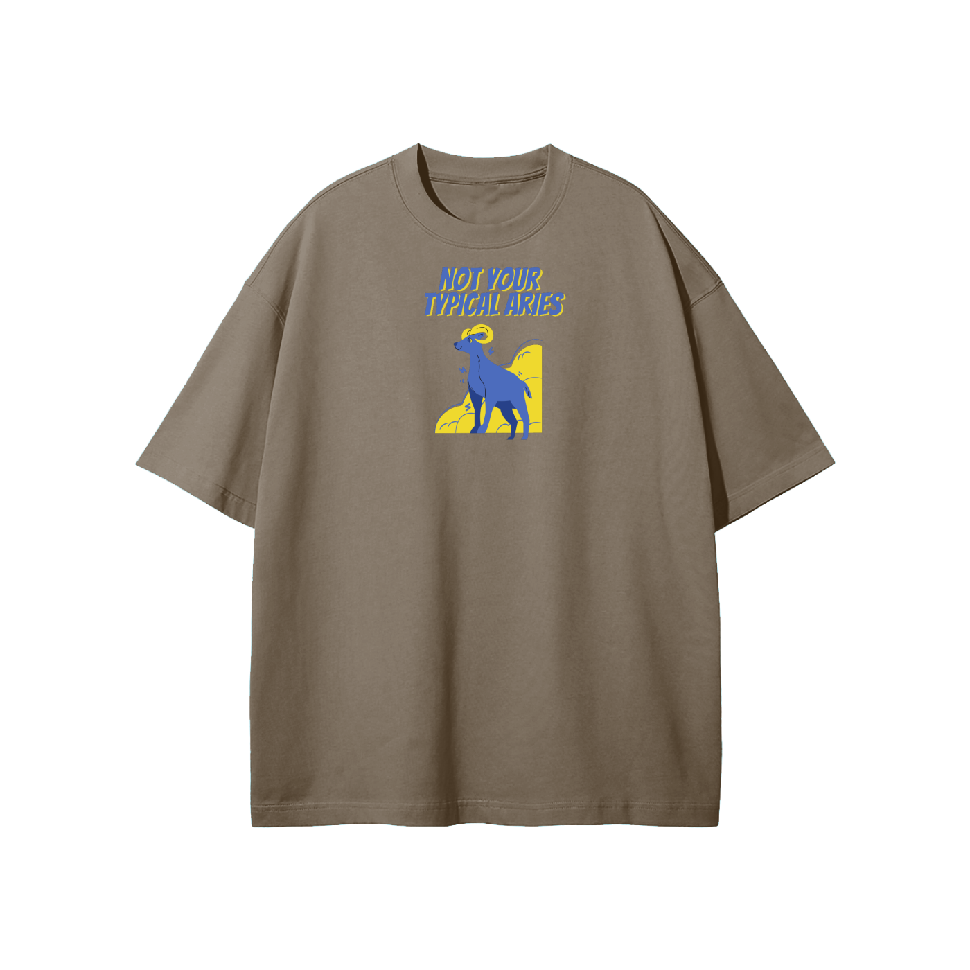 Not Your Typical Aries Streetwear Heavyweight Loose Fit T-Shirt