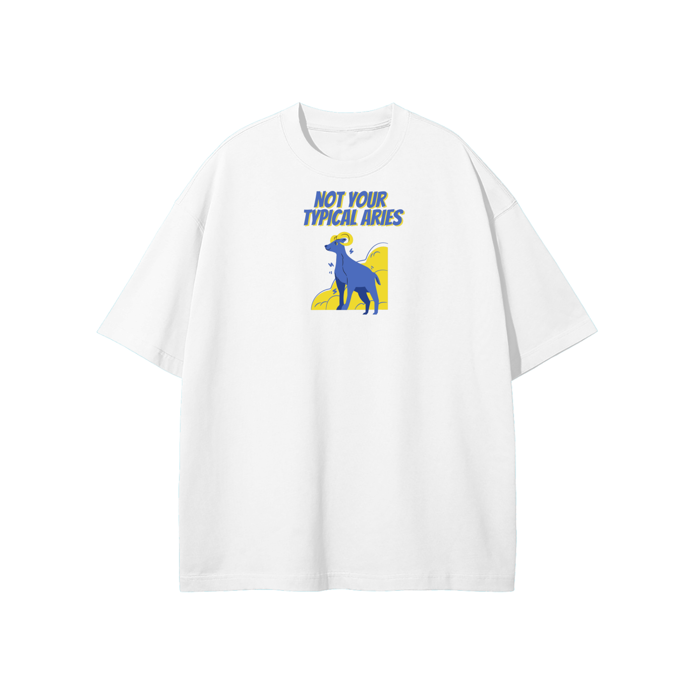 Not Your Typical Aries Streetwear Heavyweight Loose Fit T-Shirt