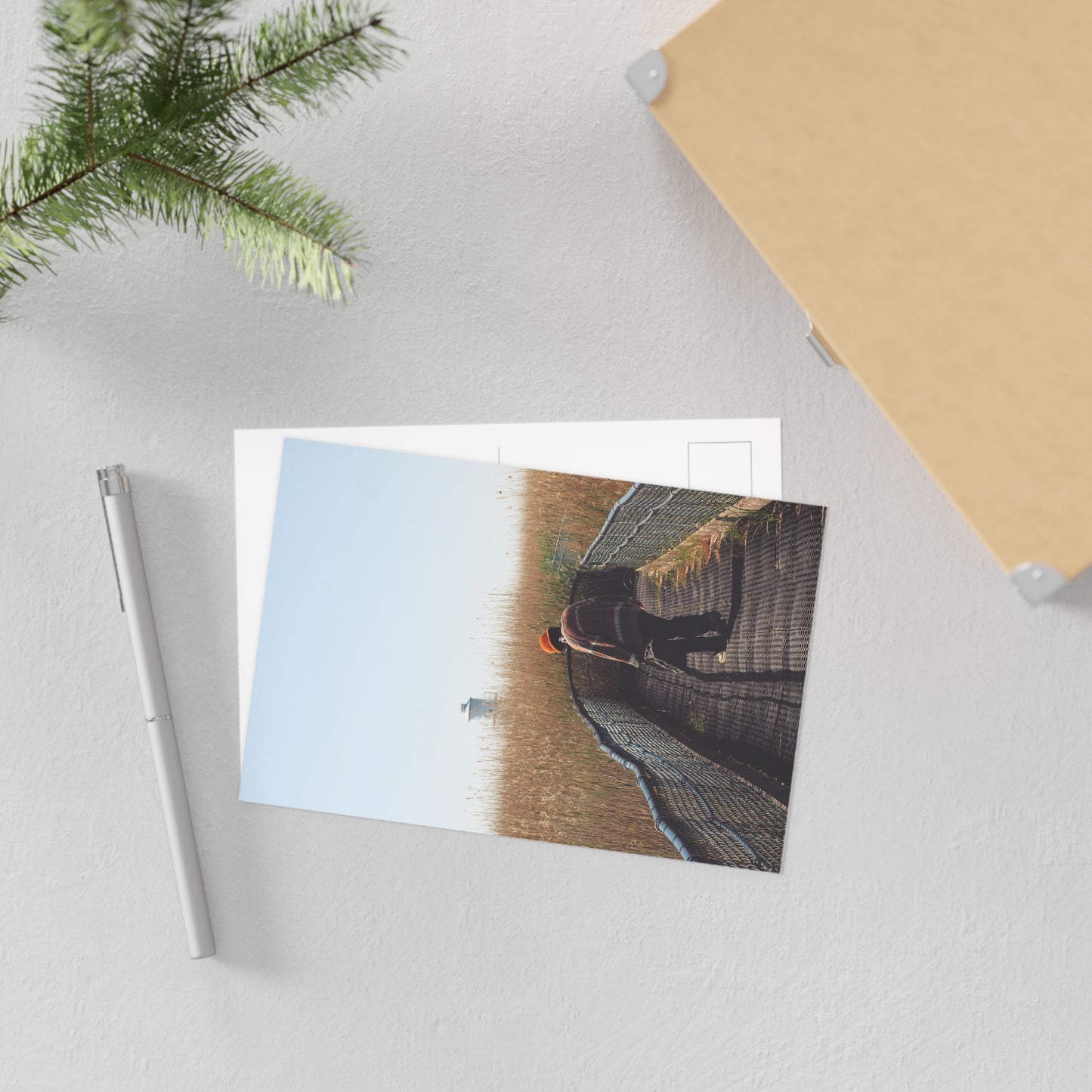 Light Home Fine Art Postcards