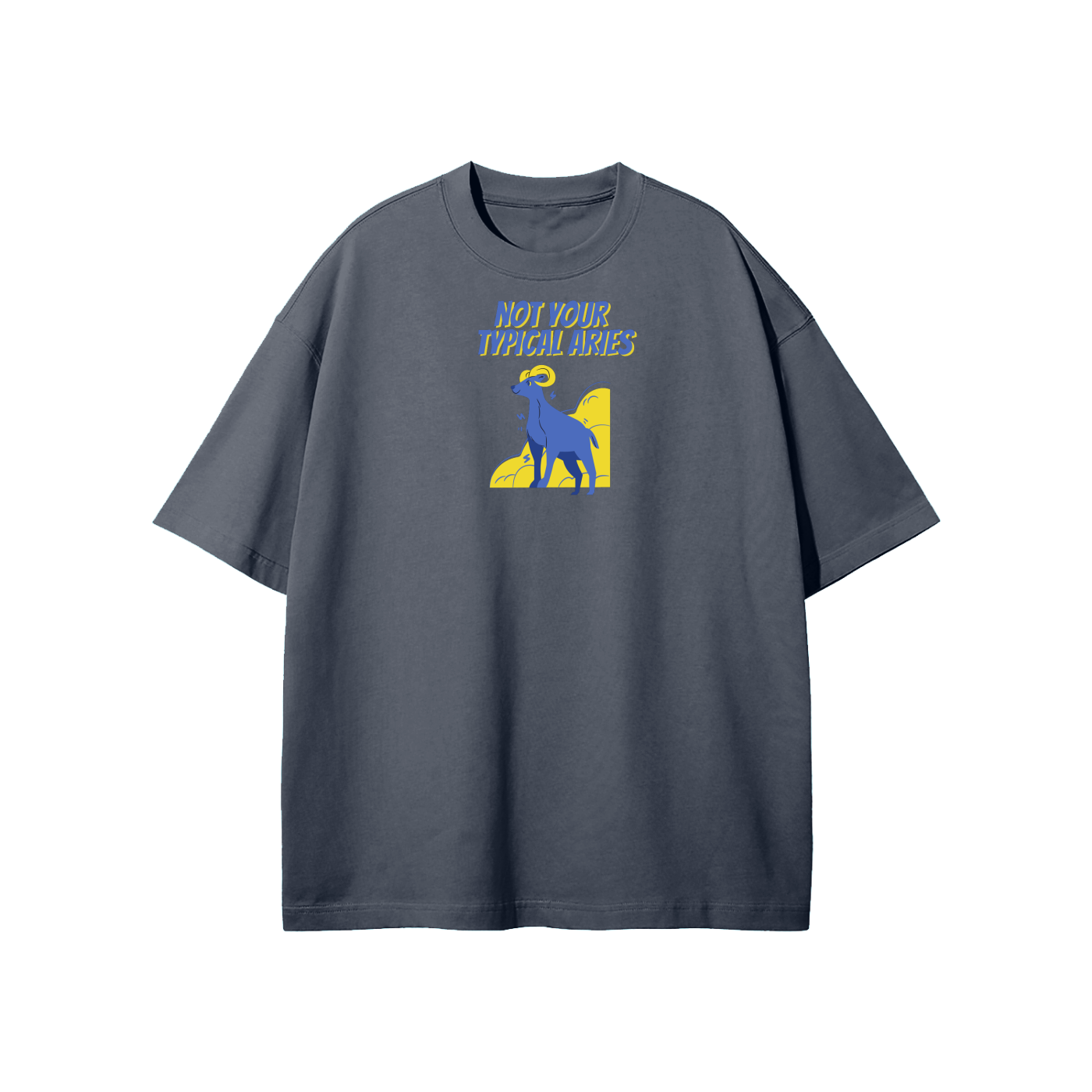 Not Your Typical Aries Streetwear Heavyweight Loose Fit T-Shirt