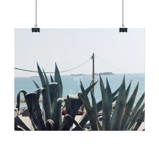 Aloe Aloe Poster Poster