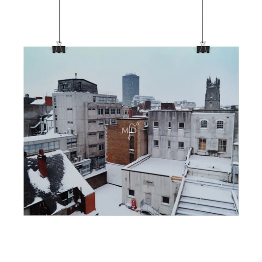 Assassin Poster Poster