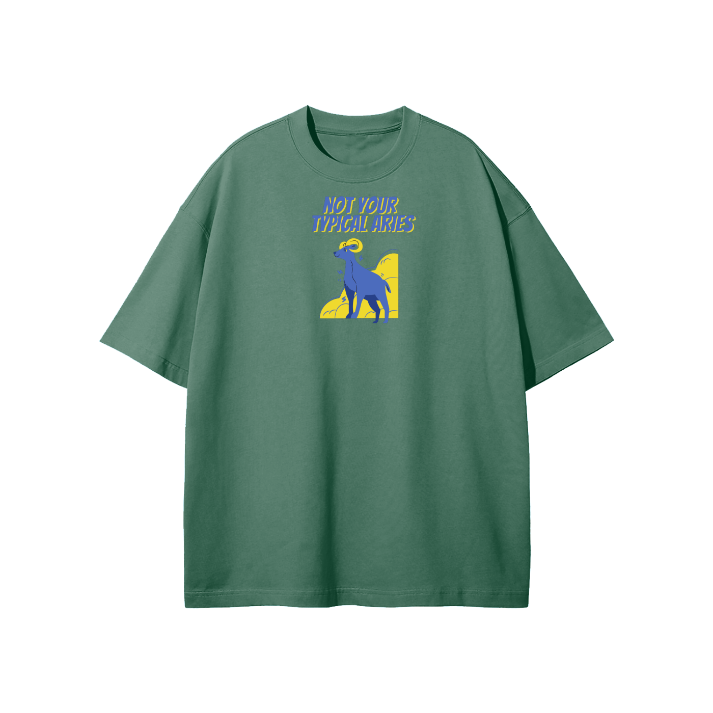 Not Your Typical Aries Streetwear Heavyweight Loose Fit T-Shirt