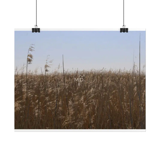 Boomer Poster Poster