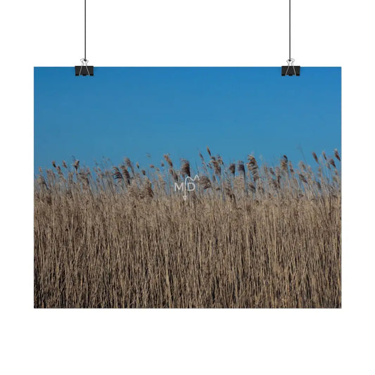 Breathe Poster Poster