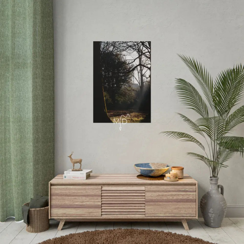 Circ Poster 23.4’’ x 33.1’’ (Vertical) / Matte Poster