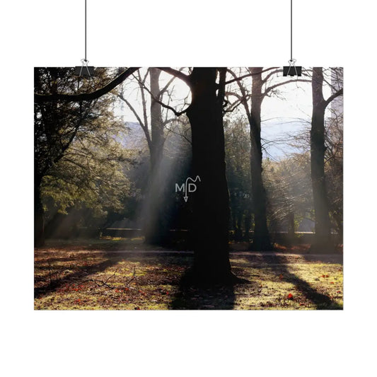 Community Pillar Poster Poster