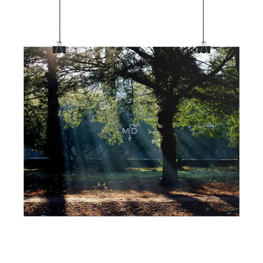 Devils Path Poster Poster