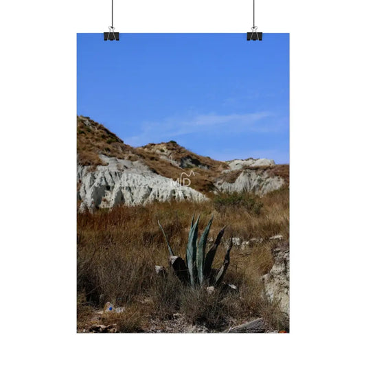 Risque Poster Poster