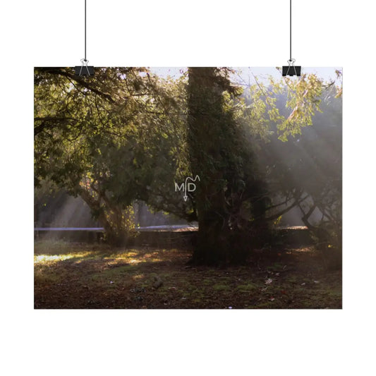 Rodents Lair Poster Poster