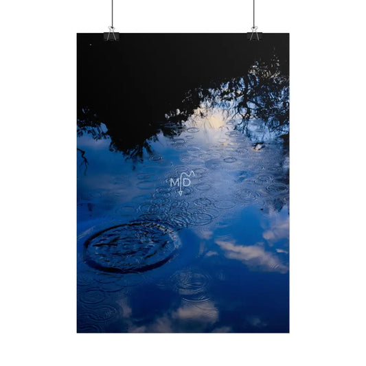 Skimmer Poster Poster