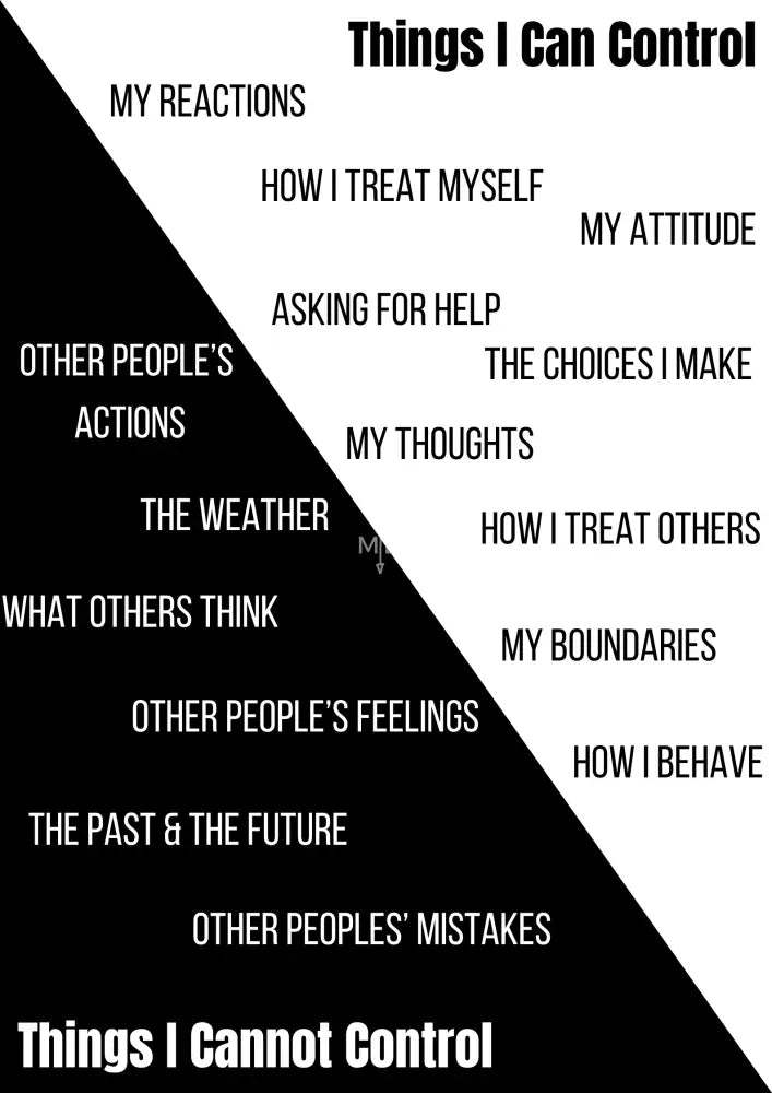 Things I Can And Cannot Control Poster Poster