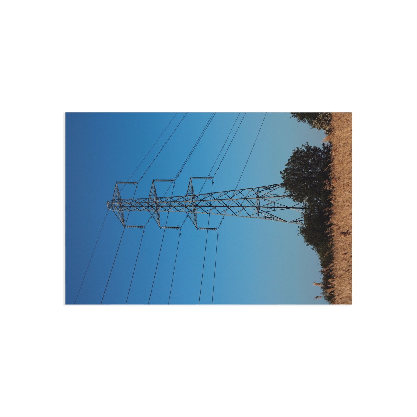 Supply Fine Art Postcards