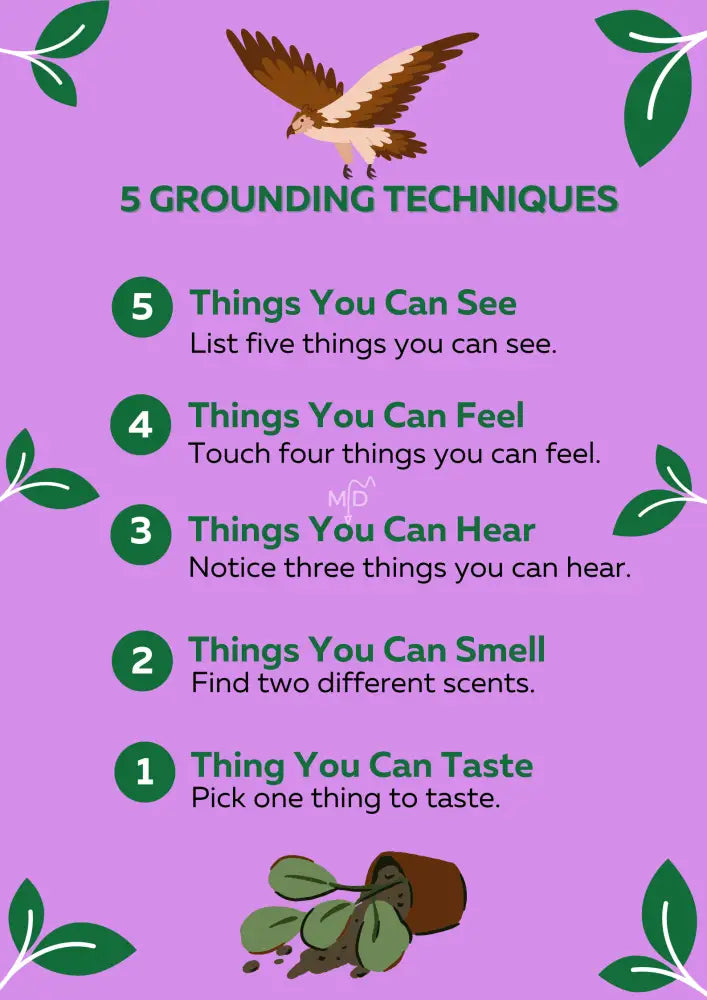 5 Grounding Techniques Poster Poster