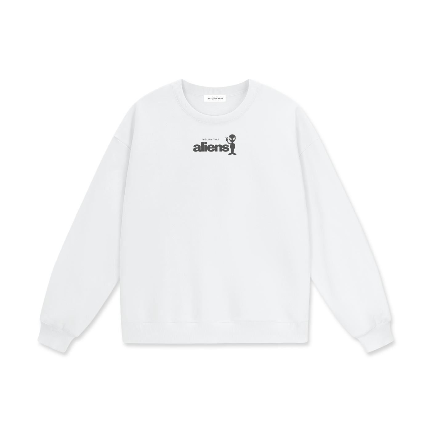 We Livin' That Aliens Heavyweight Drop Shoulder Sweatshirt