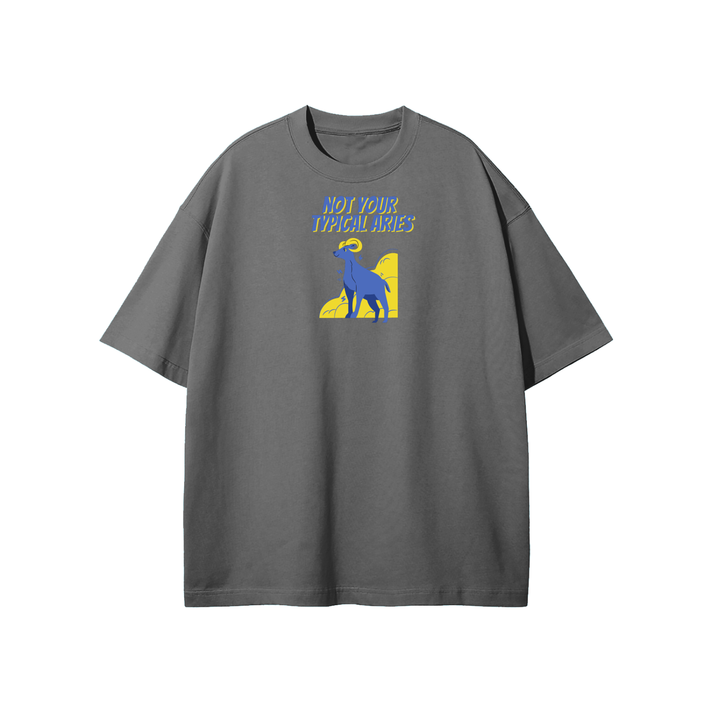 Not Your Typical Aries Streetwear Heavyweight Loose Fit T-Shirt