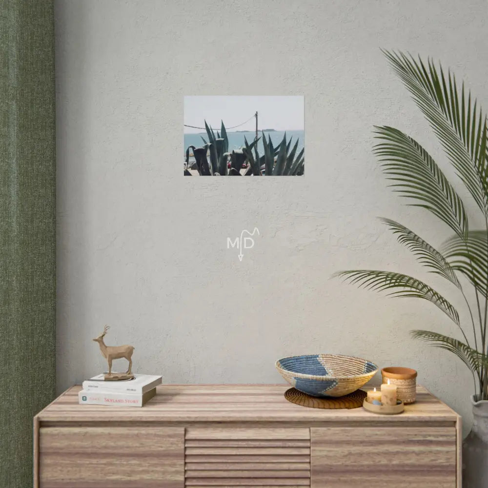 Aloe Aloe Poster 18″ x 12″ (Horizontal) / Matte Poster