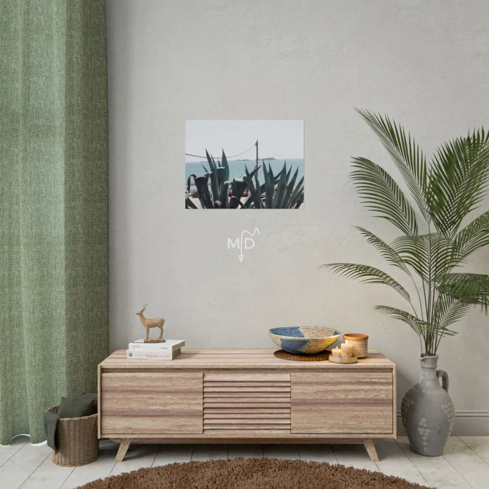 Aloe Aloe Poster 24″ x 18″ (Horizontal) / Matte Poster