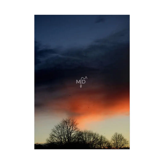 Blue Rage Poster Poster