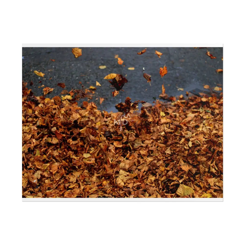 Fall Poster Poster