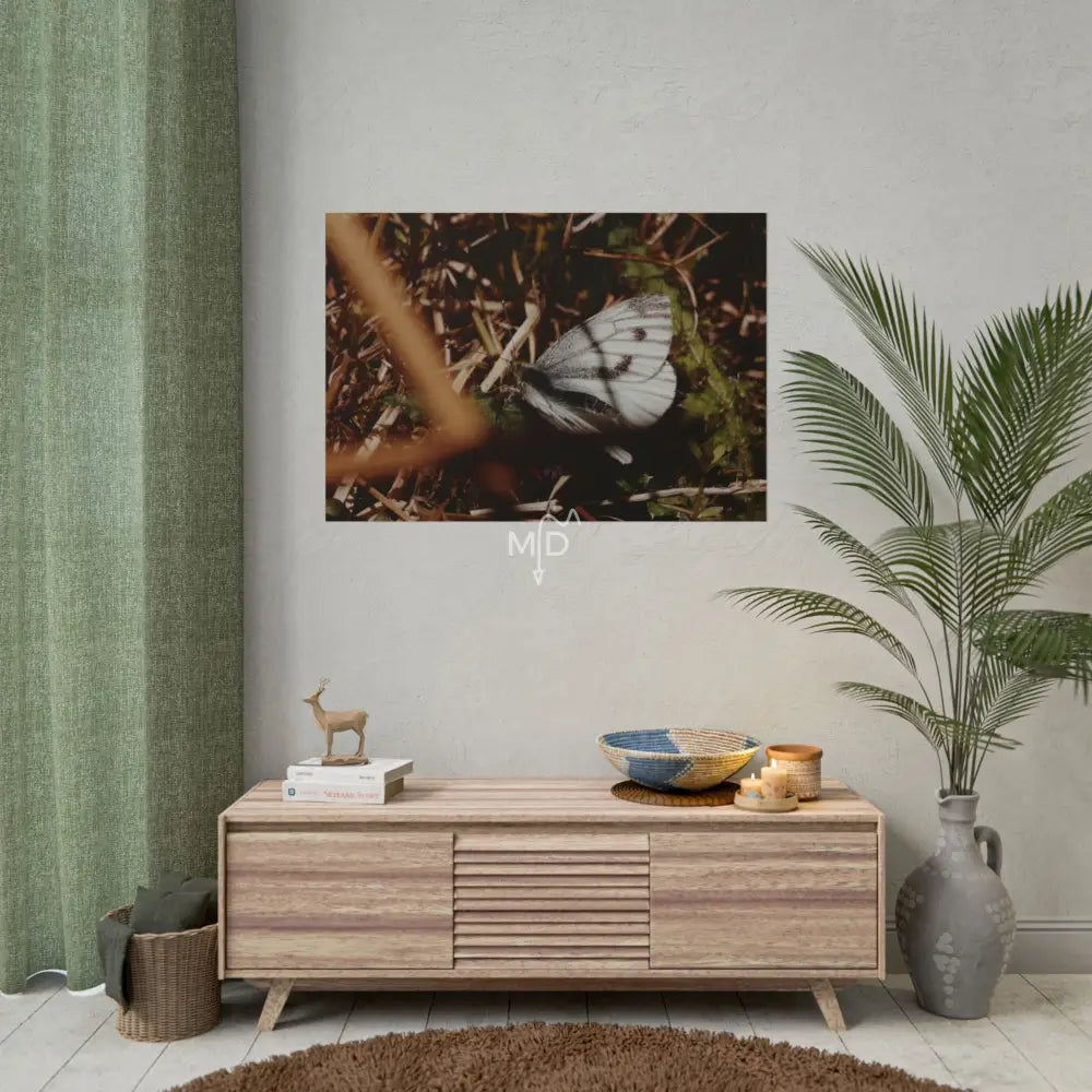 Land Poster 40’’ x 28’’ (Horizontal) / Matte Poster