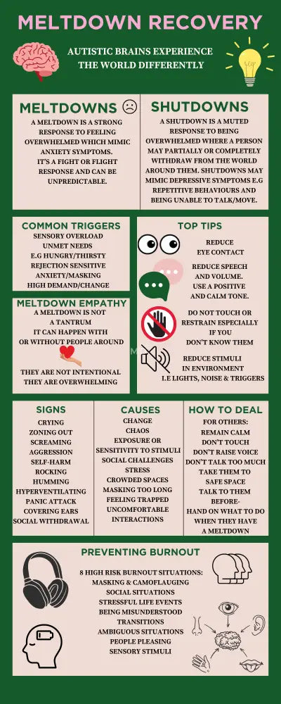 Meltdown Recovery Poster Poster