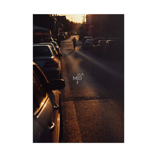 Roam Poster Poster