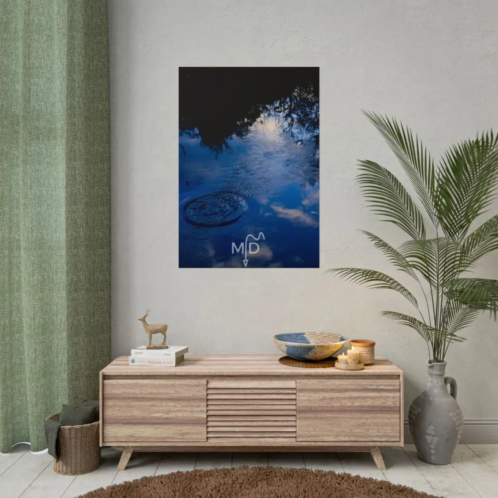 Skimmer Poster 28’’ x 40’’ (Vertical) / Matte Poster