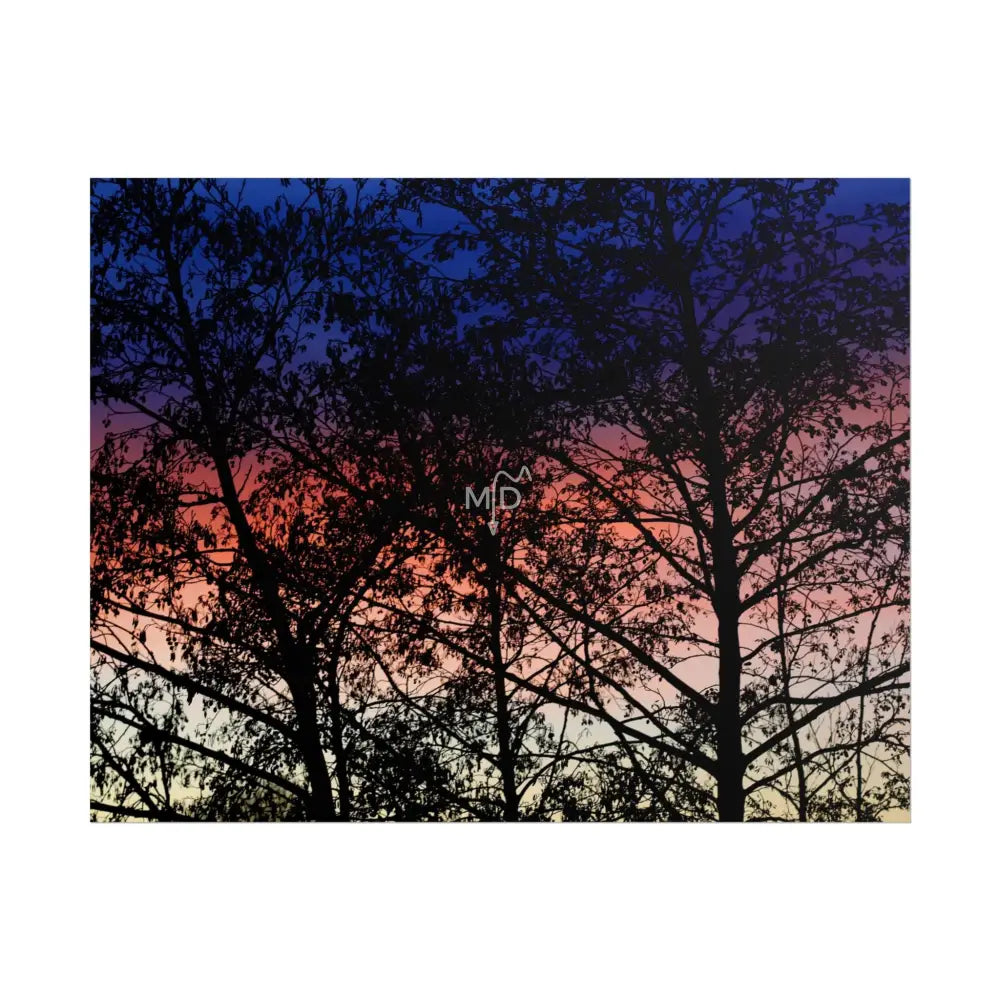 Viva Poster Poster