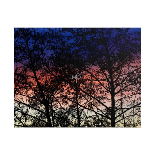 Viva Poster Poster