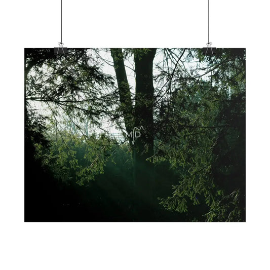 Wings Poster Poster
